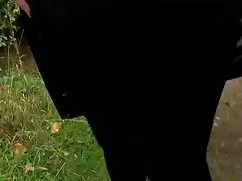 من دوست دارم, اما سا ...