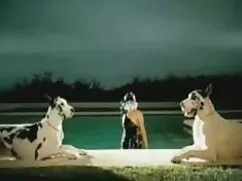 کمی ترس لباس سکسی زن ...